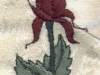 joes-rose
